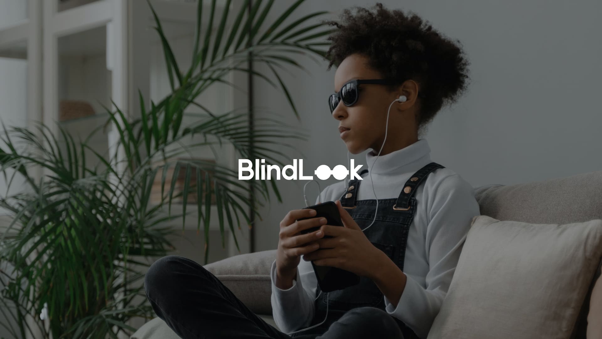 BlindLook